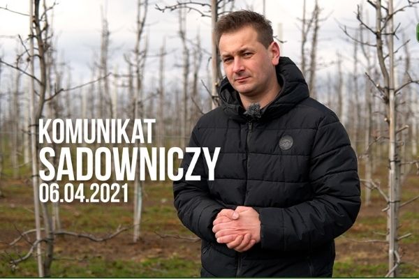 Komunikat sadowniczy 06.04.2021 / nawożenie doglebowe w sadzie